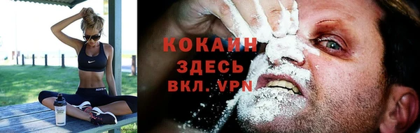 крисы Данков