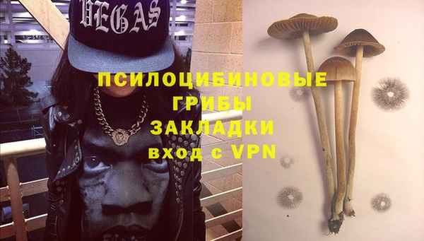 стафф Майский