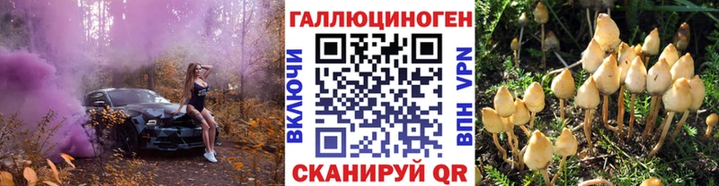 Псилоцибиновые грибы Magic Shrooms  Могоча 